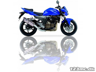 IXIL VSE Slip on 04-06 Z750