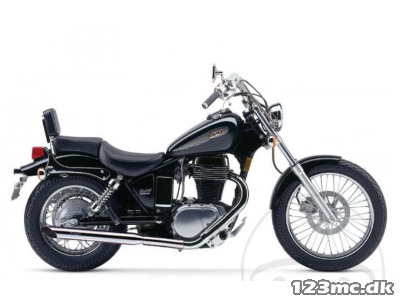 LeoVince Silvertail K02 Udstødning LS 650