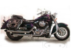 LeoVince Silvertail K02 Udstødning VN 1500/1600 til Kawasaki