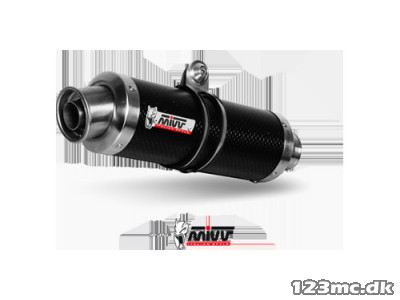 Mivv GP Slip-On Carbon YZF-R1 (02-03)
