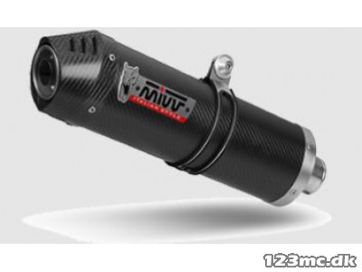 Mivv Oval Udstødning - DL650 (15-24)
