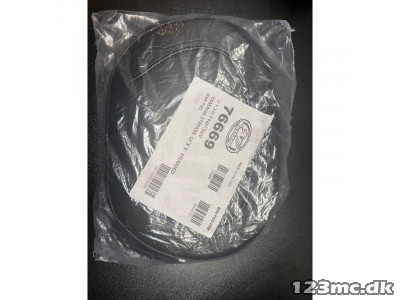 Mustang Sissybar Pude Raider ',11-',17, Stryker ',11-',17