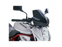 Puig New Generation Vindskærm ER-6N (06-08)