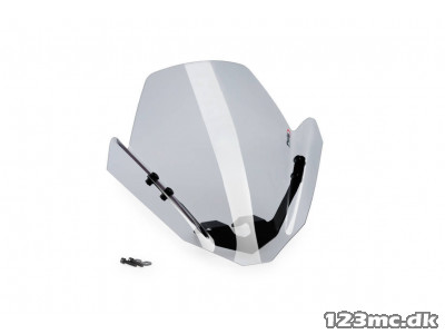 Puig Vindskærm FZ1 (06-16)